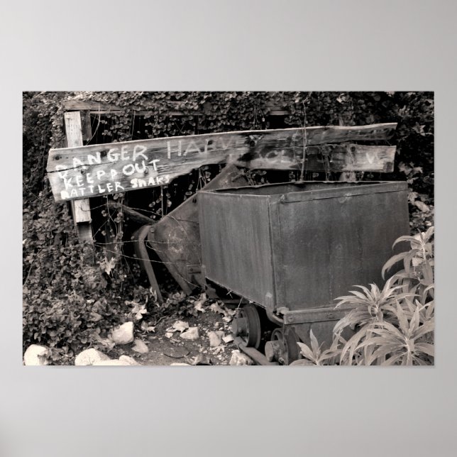 Rattler Snaks Poster (Vorne)