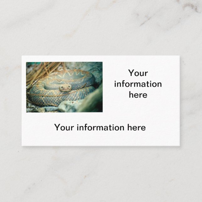 Rattlesnake Business Cards Visitenkarte (Vorderseite)