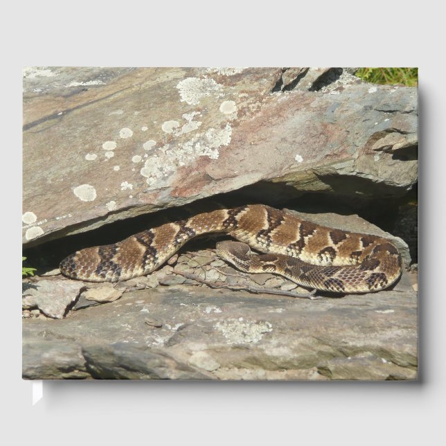 Rattlesnake im Shenandoah-Nationalpark Gästebuch (Vorderseite)