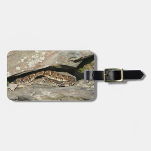 Rattlesnake im Shenandoah-Nationalpark Gepäckanhänger