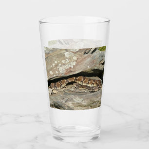 Rattlesnake im Shenandoah-Nationalpark Glas