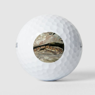Rattlesnake im Shenandoah-Nationalpark Golfball