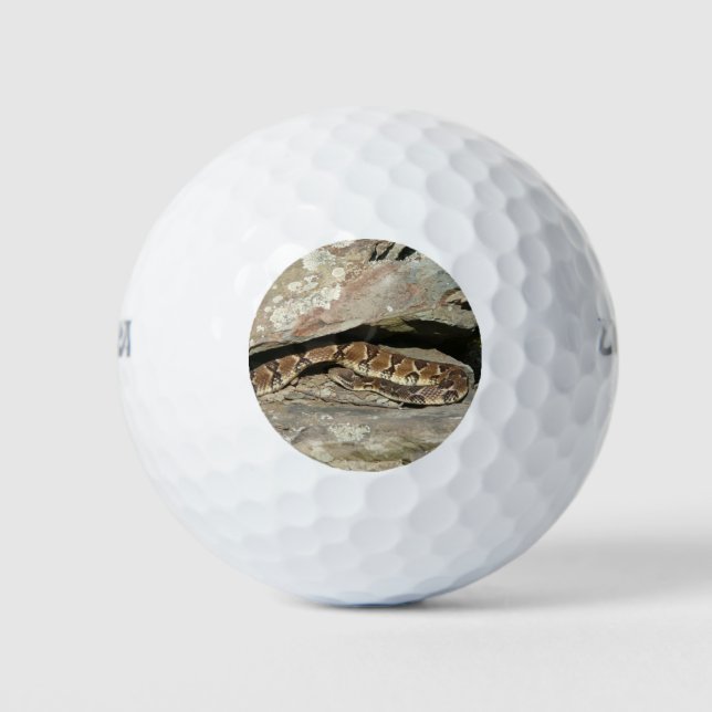 Rattlesnake im Shenandoah-Nationalpark Golfball (Vorderseite)
