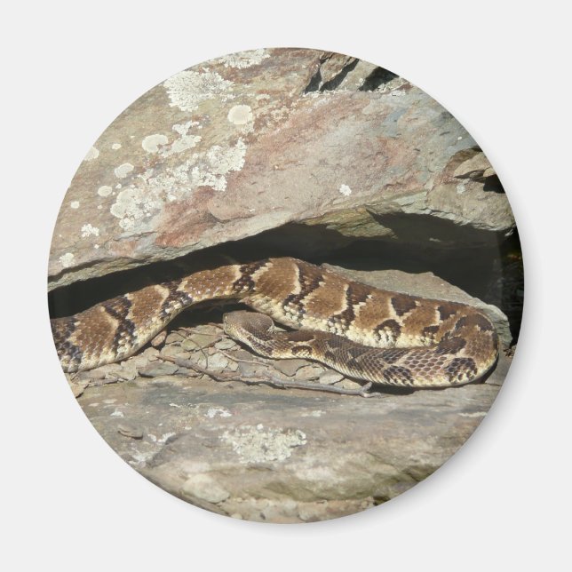 Rattlesnake im Shenandoah-Nationalpark Magnet (Vorne)