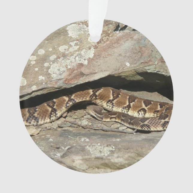 Rattlesnake im Shenandoah-Nationalpark Ornament (Vorderseite)