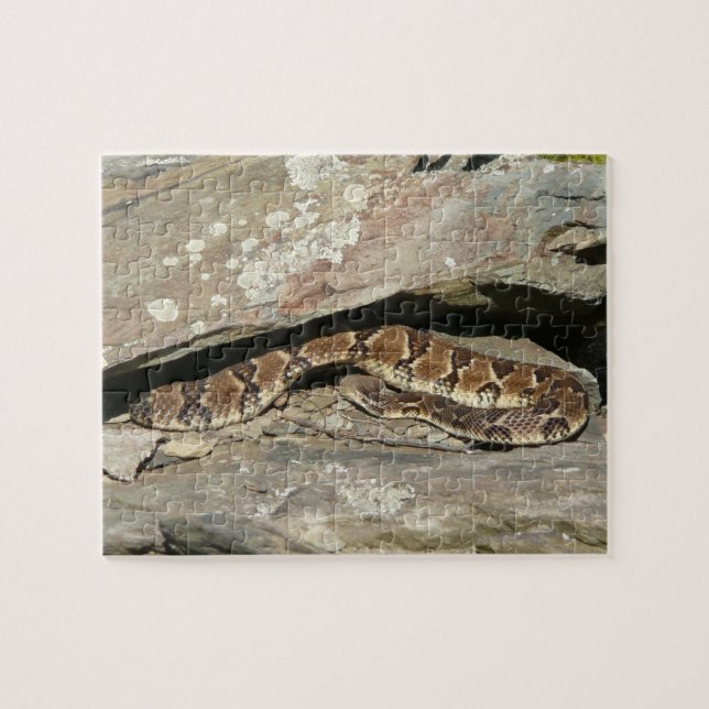 Rattlesnake im Shenandoah-Nationalpark Puzzle (Horizontal)