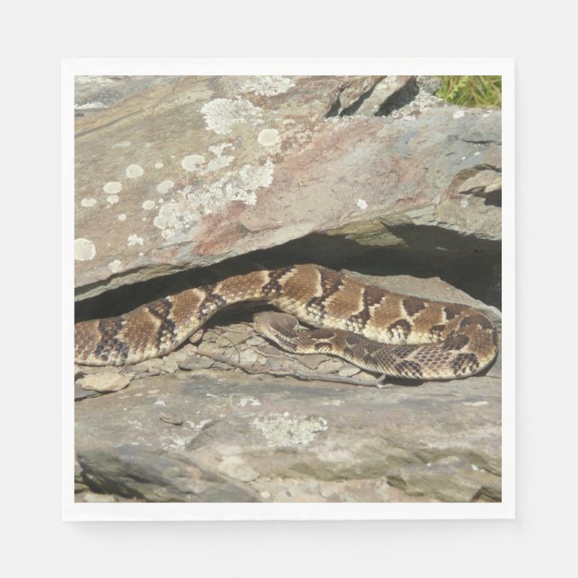 Rattlesnake im Shenandoah-Nationalpark Serviette (Vorderseite)