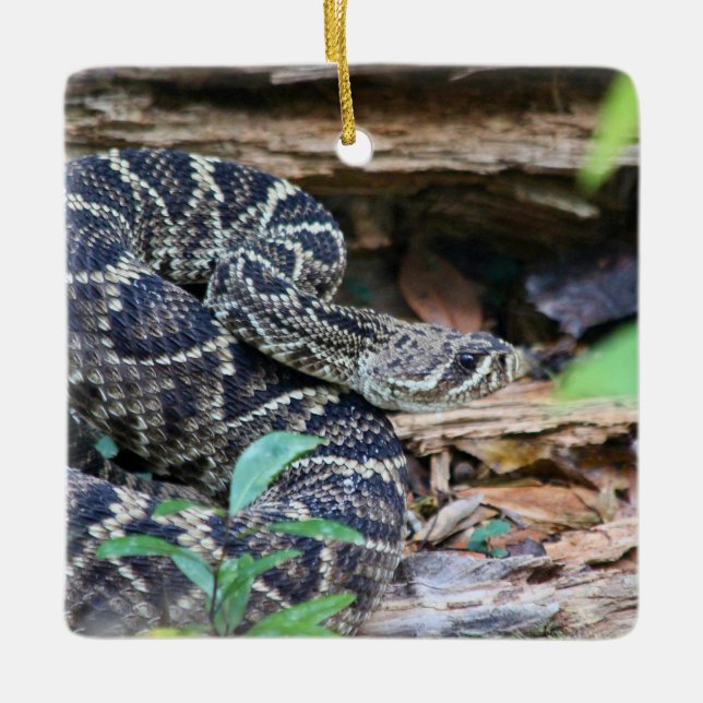 Rattlesnake In The Wild Keramikornament (Vorderseite)