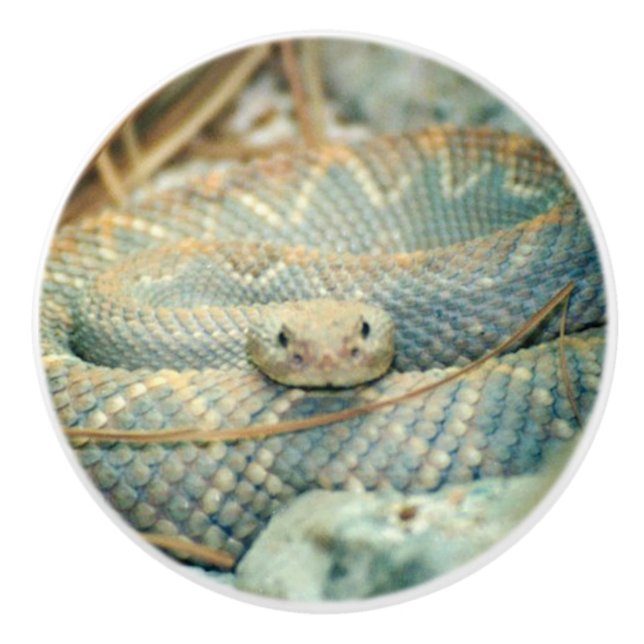 Rattlesnake Keramikknauf (Vorderseite)