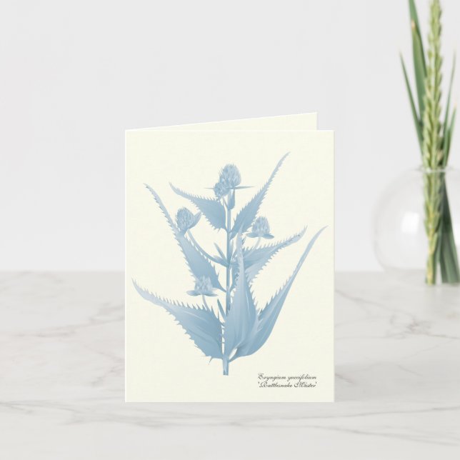 Rattlesnake Master Prairie Pflanze Note Card Karte (Vorderseite)