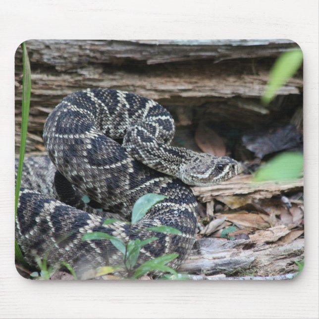 Rattlesnake Mousepad (Vorne)