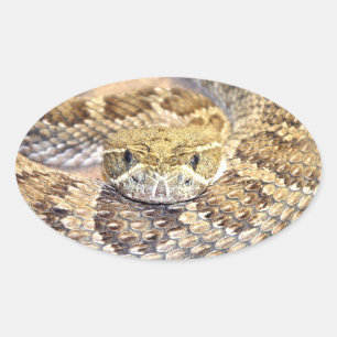 Rattlesnake Ovaler Aufkleber