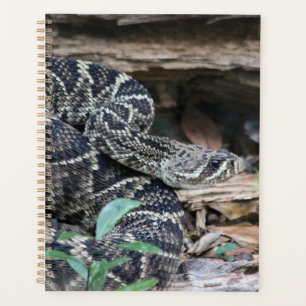 Rattlesnake Planer
