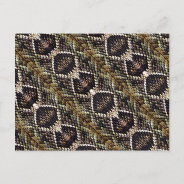 Rattlesnake Postcard Postkarte (Vorderseite)