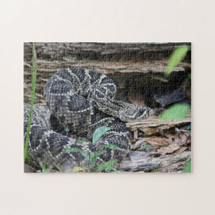 Rattlesnake Puzzle