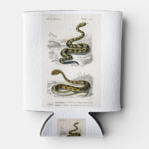 Rattlesnake Saharan horned Viper Illustration Dosenkühler