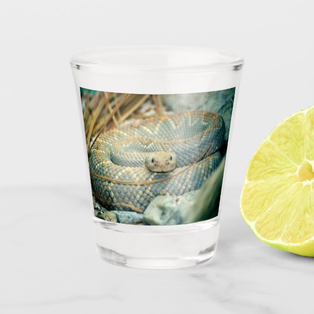 Rattlesnake Schnapsglas (Vorderseite)