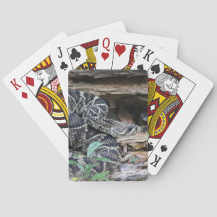 Rattlesnake Spielkarten