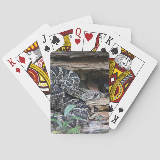 Rattlesnake Spielkarten (Rückseite)