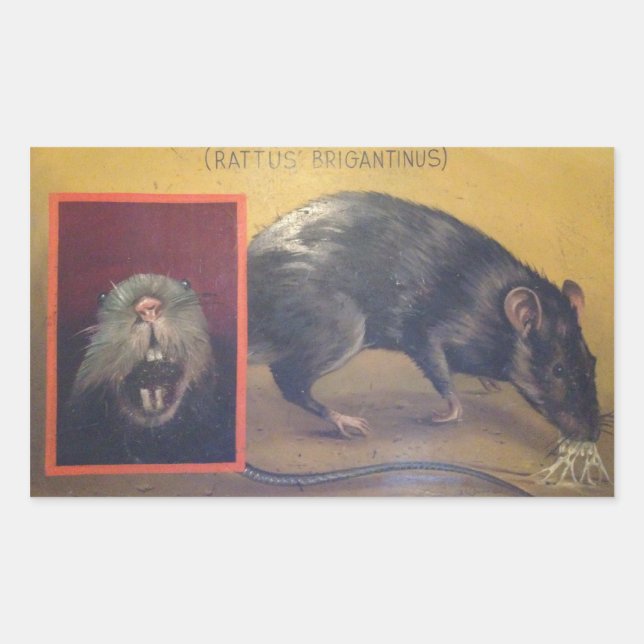 Rattus Brigantinus Sticker (Vorderseite)