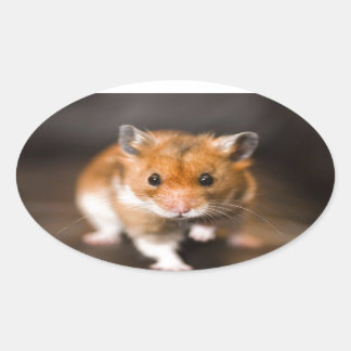 Ratty der Hamster Ovaler Aufkleber