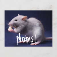 Ratty Lolz