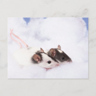 Ratty Postcard Postkarte