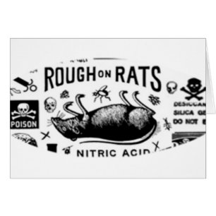 Rau auf Ratten