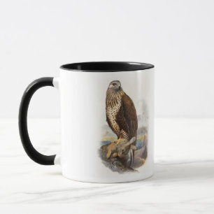 Rau-mit Beinen versehene Bussard Gould Vögel von Tasse