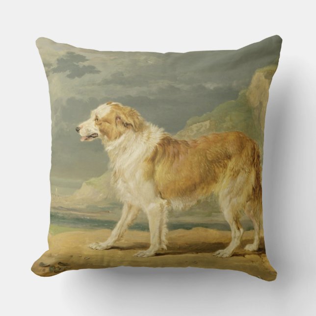 Rau-überzogener Collie, 1809 (Öl an Bord) Kissen (Vorderseite)