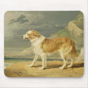 Rau-überzogener Collie, 1809 (Öl an Bord) Mousepad