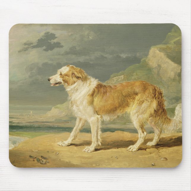 Rau-überzogener Collie, 1809 (Öl an Bord) Mousepad (Vorne)