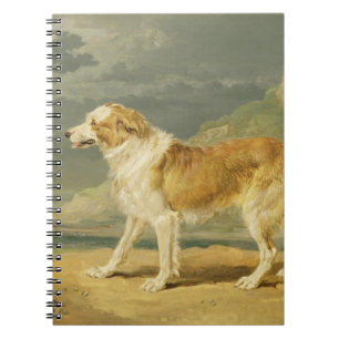 Rau-überzogener Collie, 1809 (Öl an Bord) Notizblock