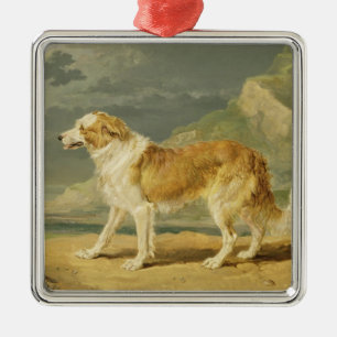 Rau-überzogener Collie, 1809 (Öl an Bord) Ornament Aus Metall