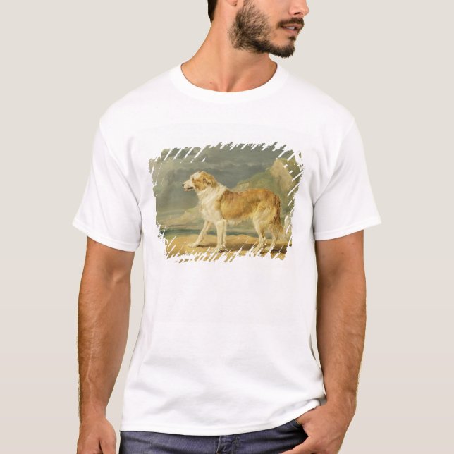 Rau-überzogener Collie, 1809 (Öl an Bord) T-Shirt (Vorderseite)