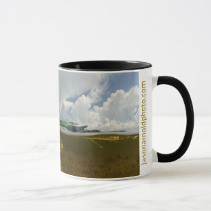 Raubrotbarsch-Tasse Tasse