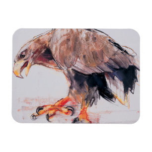 Raubvogel 2001 magnet