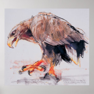 Raubvogel 2001 poster