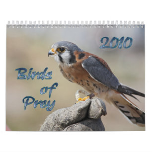 Raubvögel 2010 Kalender