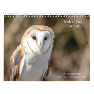 Raubvögel 2026 kalender