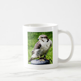Raubvogel #2- Wanderfalken Tasse