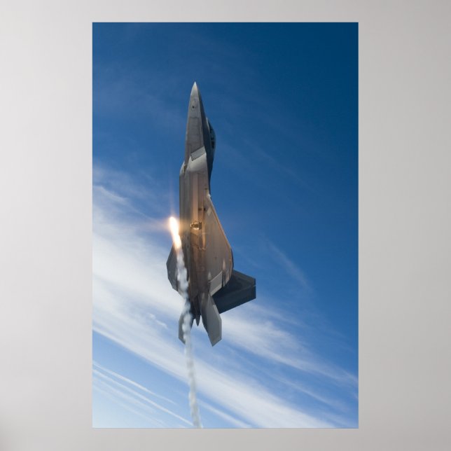 Raubvogel F-22 Poster (Vorne)