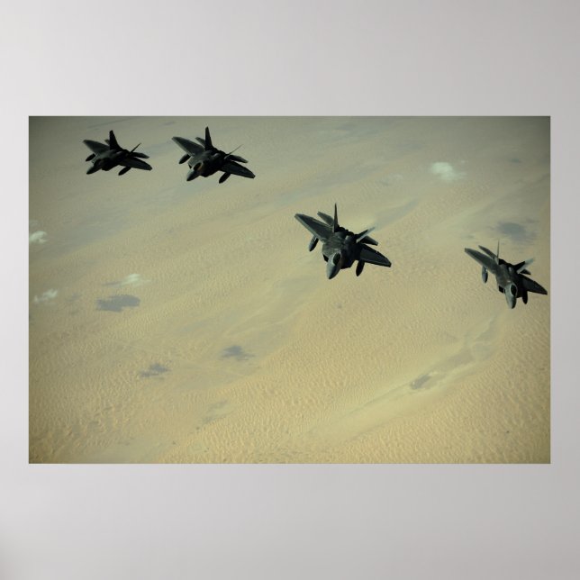 Raubvögel F-22 Poster (Vorne)