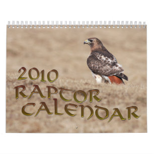 Raubvogel-Kalender 2010 Kalender