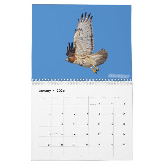 Raubvogel-Kalender 2010 Kalender (Jan 2026)