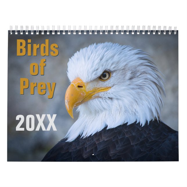 Raubvogel-Kalender Kalender (Titelbild)