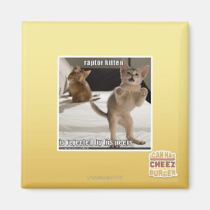 Raubvogel-Kätzchen Magnet