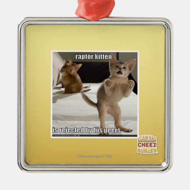 Raubvogel-Kätzchen Silbernes Ornament (Vorne)