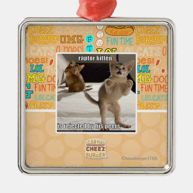 Raubvogel-Kätzchen Silbernes Ornament (Vorne)