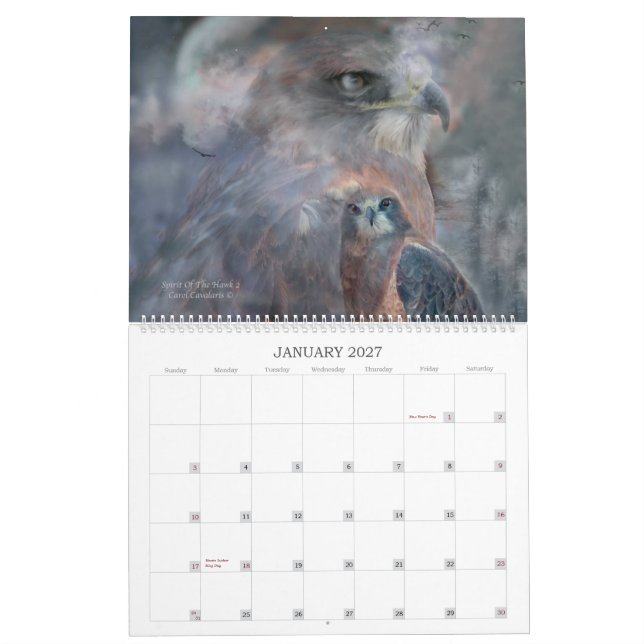 Raubvögel Kunst-Kalender 2012 Kalender (Jan 2027)